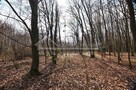 Działka budowlana Trojaczkowice gm. Niedrzwica Duża, Trojaczkowice Duże - 15