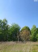 Działka budowlana JABŁONNA PIERWSZA  gm. JABŁONNA - 2