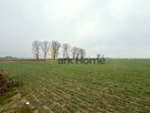 Działka inwestycyjna Święciechowa, - 7