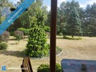 dom budynek gospodarczy działka 8000 m2 - 7
