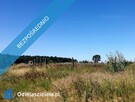 Ostatnia działka nad jeziorem w Wielkopolsce - 2