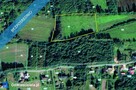 wydzierżawię  działkę 89 ar  Dąbrowica  k/ Szczucina - 1