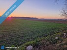 Działki Budowlane w Atrakcyjnej Cenie oraz Dogodnej Lokalizacji. - 1