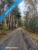 Działka 5200 m2 zalesiona oznaczenie użytku RVI - 2