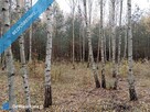 Działka 5200 m2 zalesiona oznaczenie użytku RVI - 7