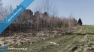 Sprzedam działki w Pruścach nad jeziorem razem lub osobno - 2