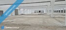 Hala magazynowa 12.000m2 - 3
