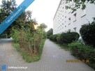przytulne,ciche,bez pośredników - 6