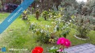 Wiktorowo - dom letniskowy - 2