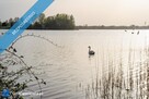 Dom z dużą działką i własnym źródłem wody tuż przy jeziorze – Nowy Działyń, gmina Zbójno - 5