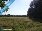 Skoczów Ochaby 62ar pod lasem nadaje się pod rekreacje - 3