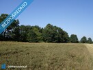 Skoczów Ochaby 62ar pod lasem nadaje się pod rekreacje - 6