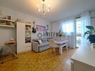 ul. Hallera- Rozkład/Piwnica/Balkon - 3