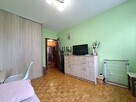 ul. Hallera- Rozkład/Piwnica/Balkon - 11