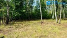 Starodrzew z możliwością zabudowy - 3