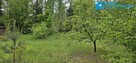 Starodrzew z możliwością zabudowy - 5