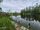 Działka rekreacyjna Olza gm. Gorzyce - 4