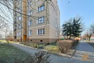 mieszkanie dwupokojowe w centrum - 13