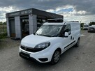 Fiat Doblo maxi chłodnia klimatyzacja carrier - 1