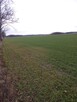 Sprzedam działki Winnica, 1000-1300m2 - 5