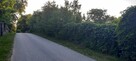 Mazury unikat 2w1 linia brzegowa jeziora k/Ełku - 8