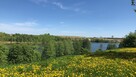 Mazury unikat 2w1 linia brzegowa jeziora k/Ełku - 9