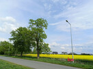 Działka budowlana Mrowino gm. Rokietnica, Tarnowska - 3