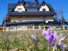 DWUPOZIOMOWY APARTAMENT W KOŚCIELISKU - 4