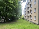 mieszkanie 3 pokoje na Sołaczu super lokalizacja - 11