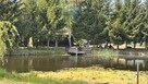 Dom w lesie  z dużą działką za Kościerzyną - 5
