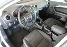 Audi A3 1.6 MPI 102KM/Lift/Klimatronik/Niski przebieg - 11