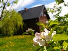 Dom, który pachnie lasem i ciszą - 2