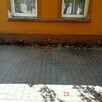 Przeciski Hydrauliczne, Układanie i Renowacja Kostki brukowej - 4
