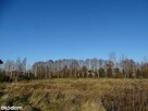 Działka z warunkami zabudowy - Biedaszków Wielki - 3