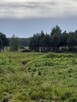 Sprzedam działkę inwestycyjną w Lewickich - 10