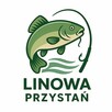 Linowa Przystań Wójcin Staw & Pole Biwakowe - 11