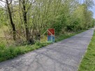 Działka budowlana 6000 m2 w okolicy Szczawina - 7
