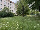 2 POKOJE DO REMONTU – AZORY | Kraków, ul. Palacha - 5