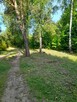Sprzedam działkę w Hryniewiczach - 7