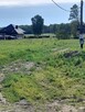 Sprzedam działkę inwestycyjną w Lewickich - 11