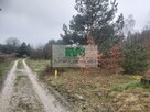 DZIAŁKA Z MOŻLIWOŚCIĄ ZABUDOWY W LEŻAJSKU - 2