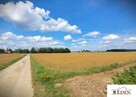 Działka rolno-budowlana Siedliska gm. Wojcieszków - 3