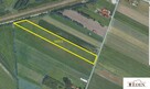 Działka rolno-budowlana Szaniawy-Poniaty gm. Trzebieszów - 1