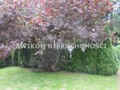 Dom Książenice gm. Grodzisk Mazowiecki - 5