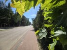 Działka budowlana Wiązowna, Duchnowska - 1