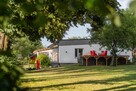 Pensjonat, Roztocze, świetnie prosperujący - 15
