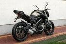 Yamaha MT 125 R 2014 Raty Transport NAJWIĘKSZY WYBÓR MOTOCYKLI 125 w PL - 4