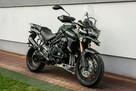 Triumph Tiger 1200 XC 2014 ABS RATY Transport Największy Wybór Moto wPL - 2