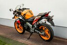 Honda CBR 125 2013 JC50 Raty Transport Największy Wybór Moto 125 MOTOSTAR - 4