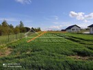 Działka budowlana Polanówka gm. Strzyżewice, Polanówka - 2